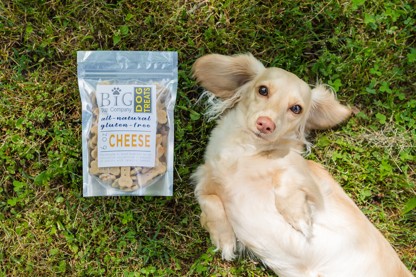 Dog Treats