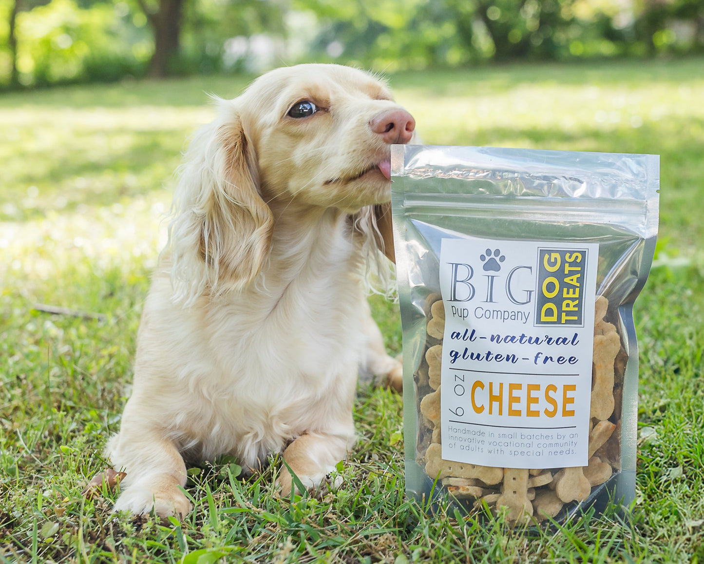 Dog Treats