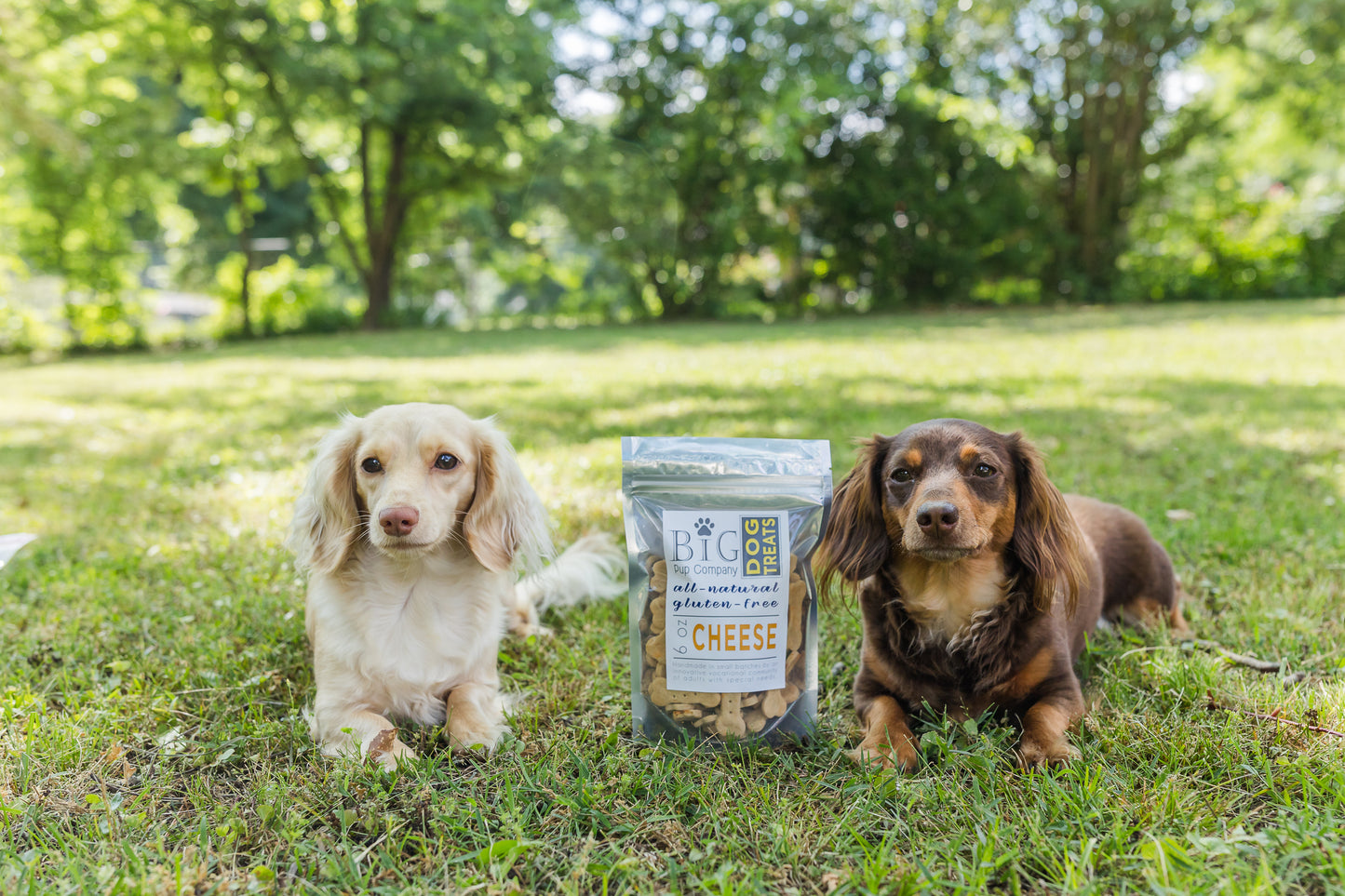 Dog Treats